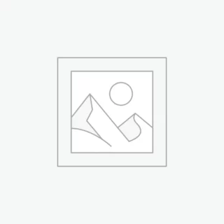 Duis aute irure dolo